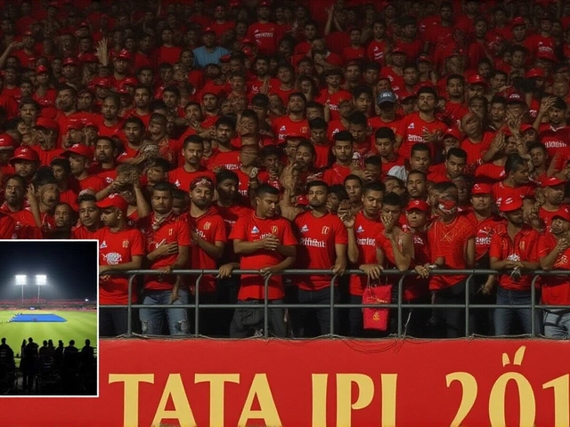 Alyssa Healy, Mitchell Starc Evacuated After IPL Blackout in Dharamshala